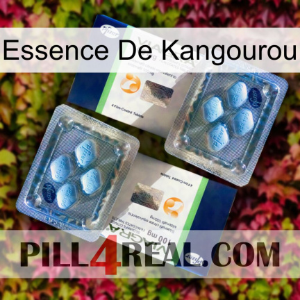 Kangaroo Essence viagra5